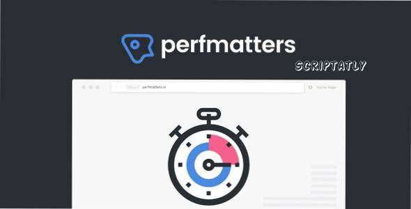 perfmatters wordpress plugin